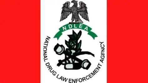 NDLEA Seizes Drugs Hidden in Imported Water Purifiers.
The National Drug Law Enforcement Agency has...