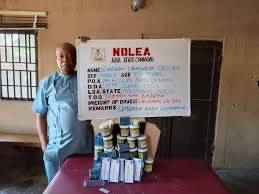 NDLEA Nabs Elderly Suspects Over Drug Sales to Students.
The NDLEA has arrested two elderly men, ag...