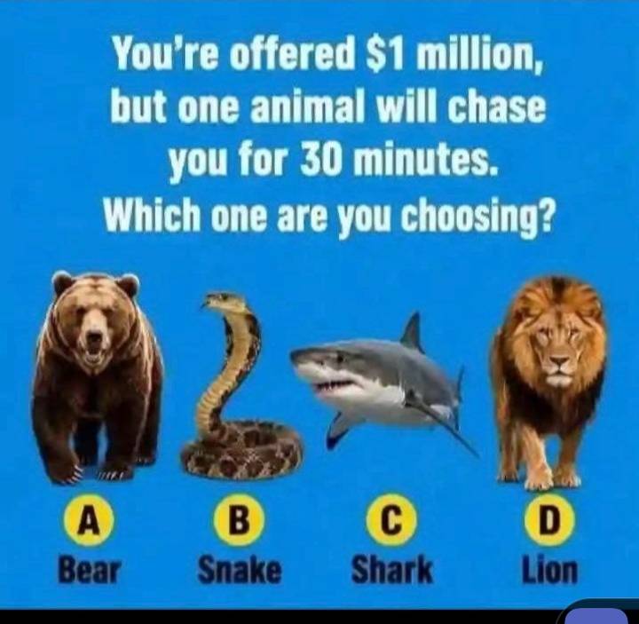 Chose one