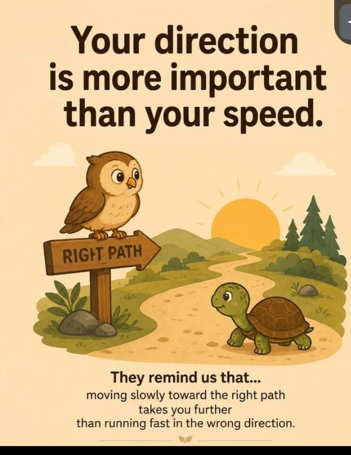 No fast pass your limits #LekeeLekee  #Trending