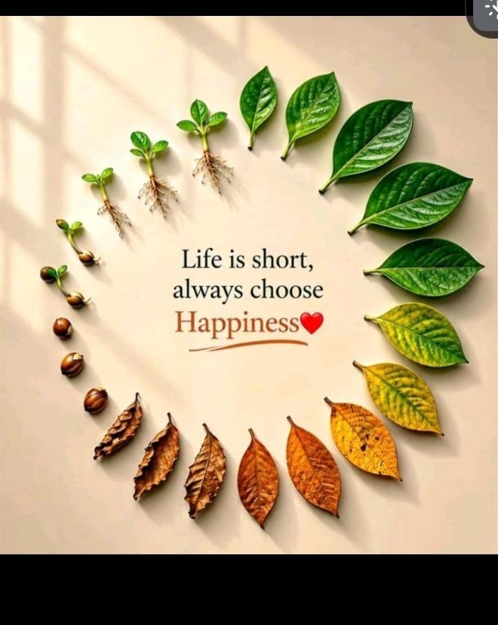 Be happy #LekeeLekee