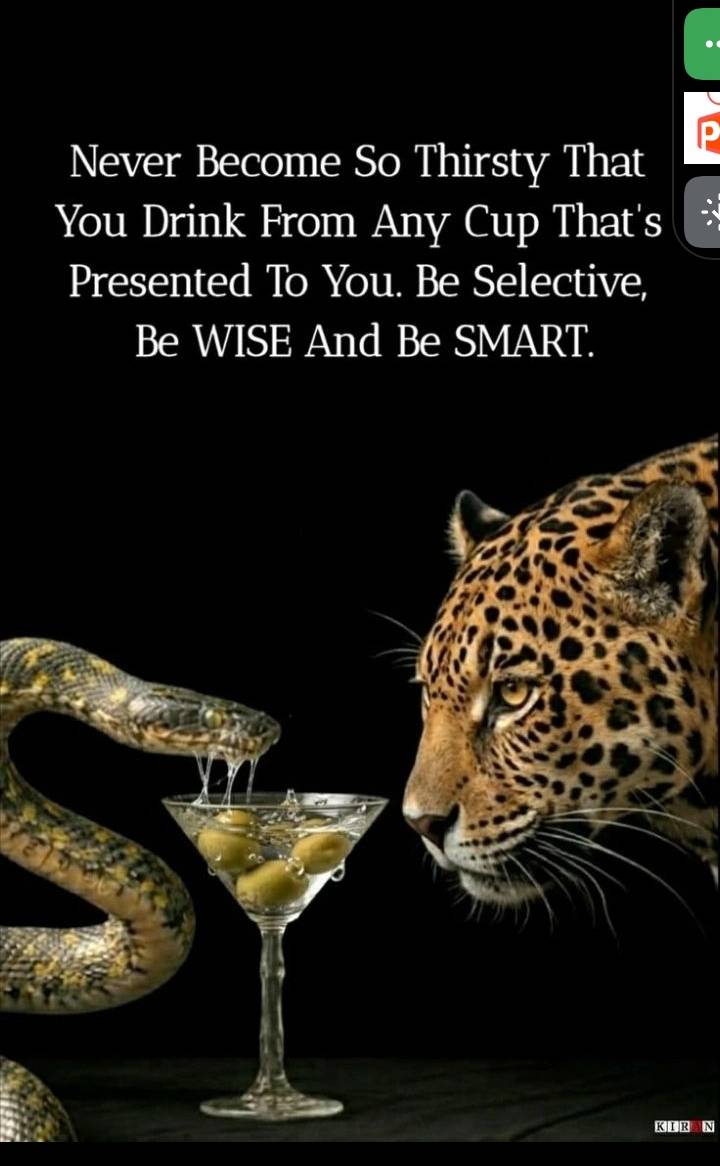 The wise king 👑 #LekeeLekee