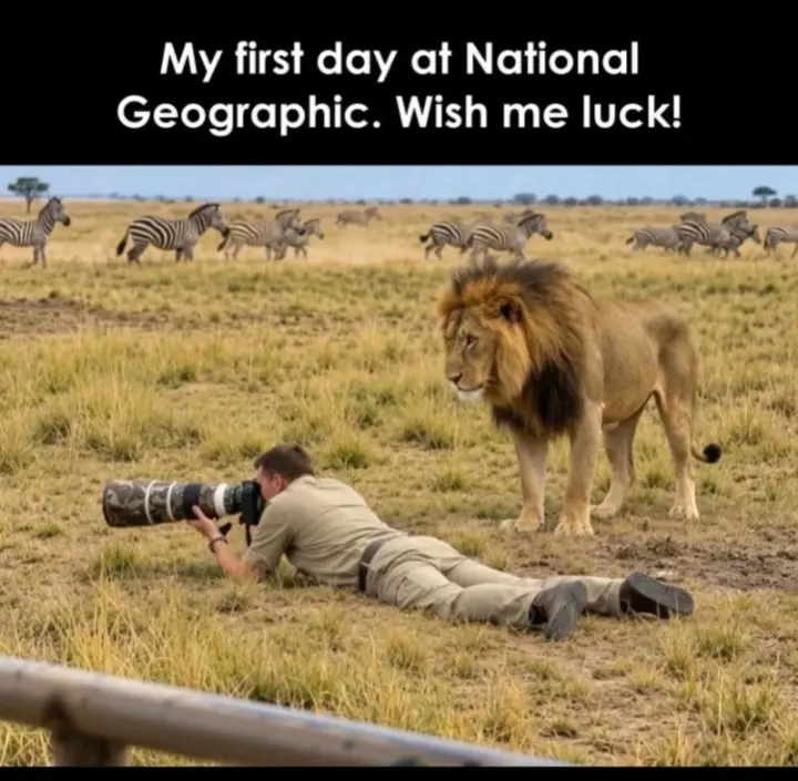 ππ This one is giving βfirst day on the job, no training provided!β
βFirst day at National Geogra...