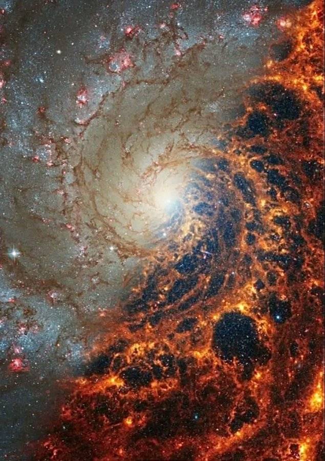 Mind-blowing side-by-side: NGC 628 (M74) — The Phantom Galaxy Left: James Webb Space Telescope
Right...