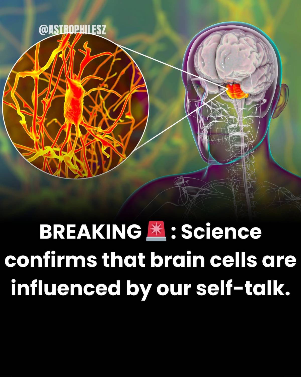 🧠 Your Brain Is Listening to You… Even When No One Else Is
Science suggests that the way you talk...