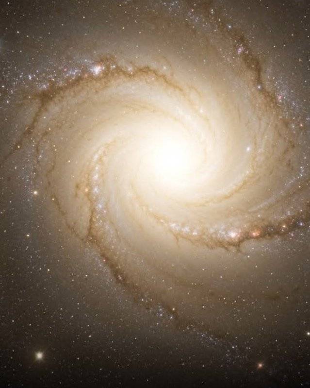 Messier 87: The Sleeping Giant of the Virgo Cluster55 million light-years away, in the heart of the...