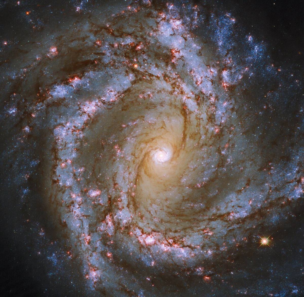 The luminous heart of the galaxy M61 dominates this image, framed by its winding spiral arms threade...