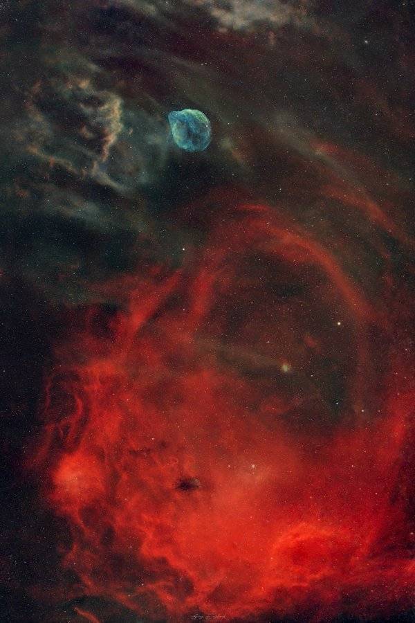 A patch of sky featuring the emission nebula Sh2-308, also known as the "Dolphin's Head" ๐ฌ The "hea...