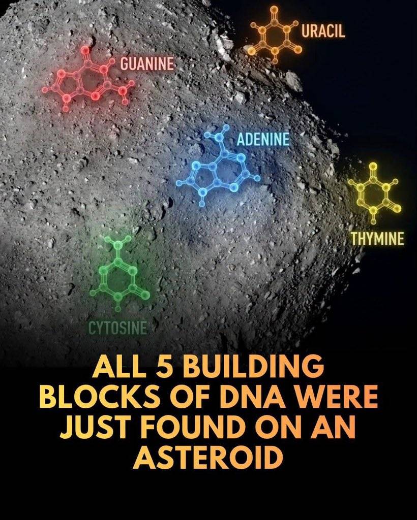 ๐จ BREAKING: An asteroid was found to have all the building blocks of life.
Japanese scientists hav...