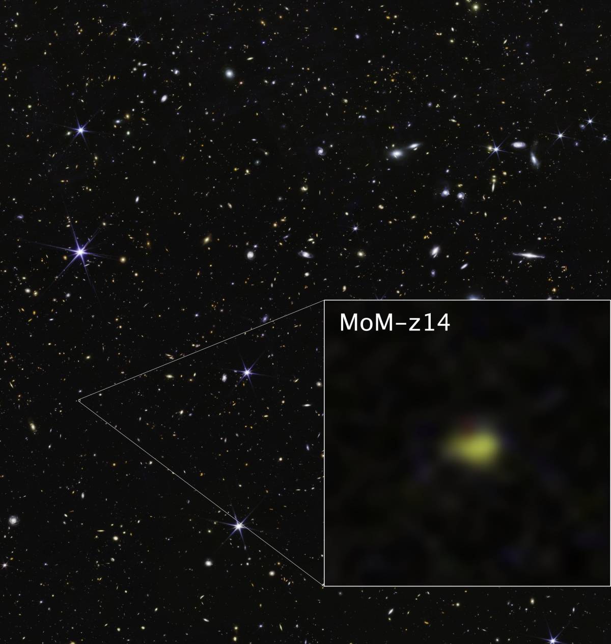 MoM-z14 is the most distant galaxy ever detected in a James Webb image ๐ช We see it as it was just 2...
