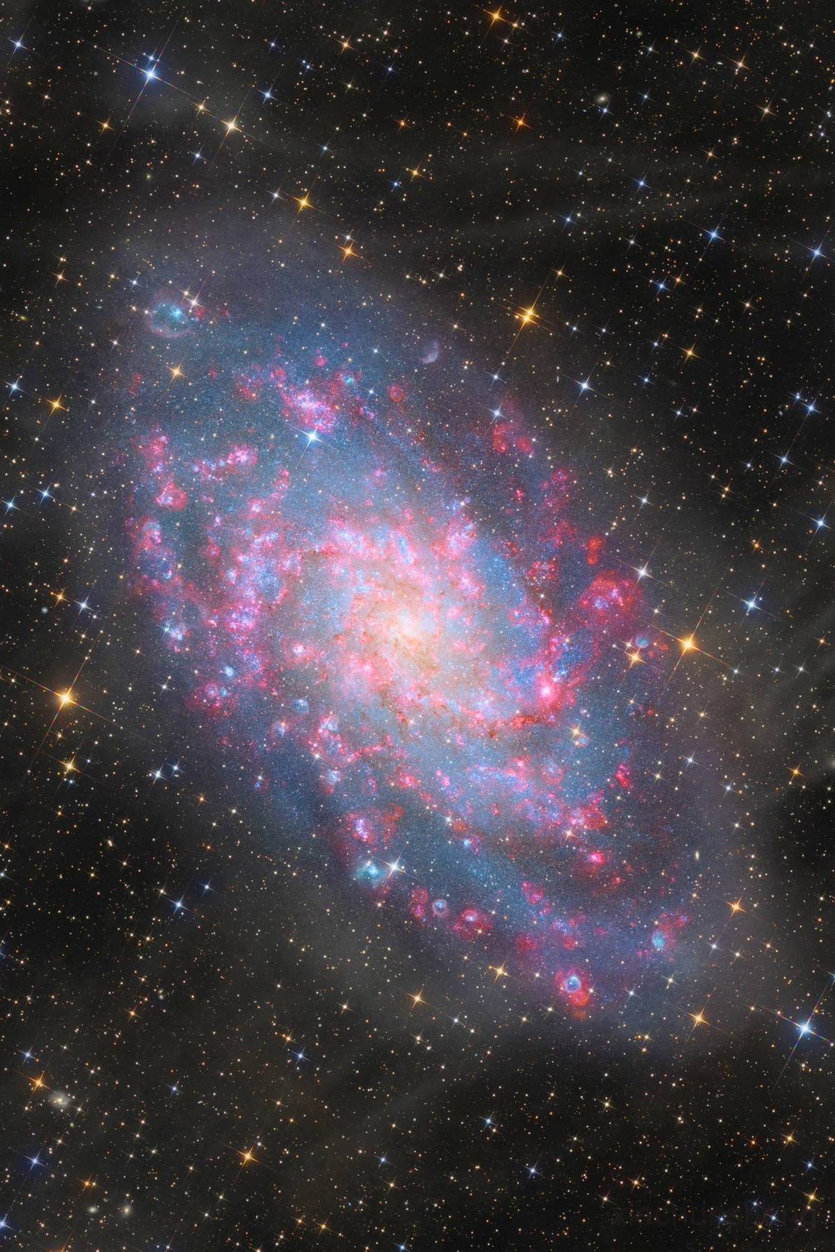 Feast your eyes on this stunning shot of the Triangulum Galaxy! 💫
Fun fact that blows most people’...