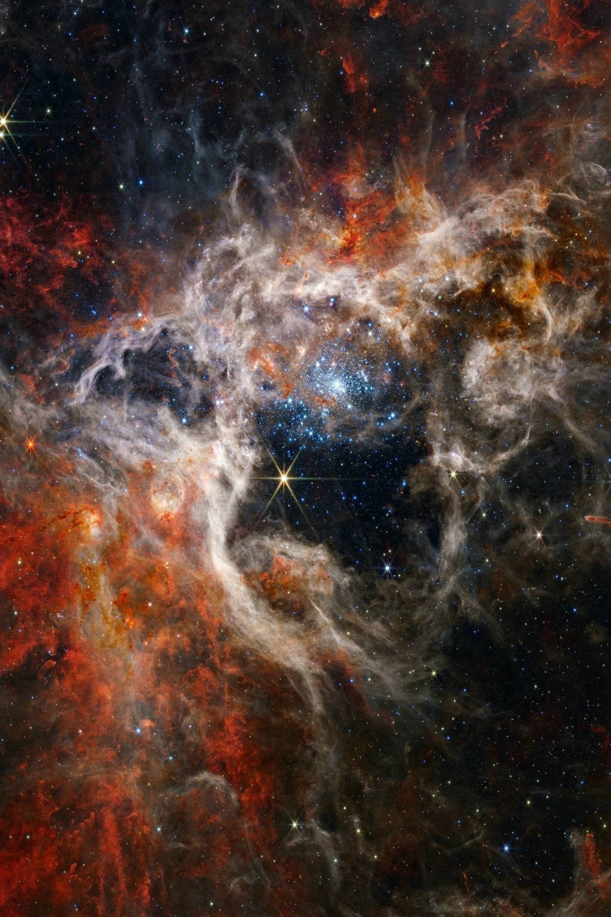 ✨ The Tarantula Nebula in the neighboring Large Magellanic Cloud, captured by the James Webb Space...