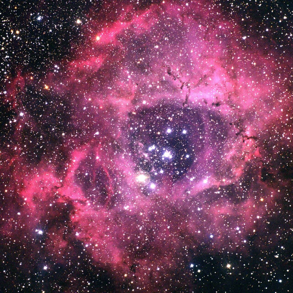 Rosette Nebula