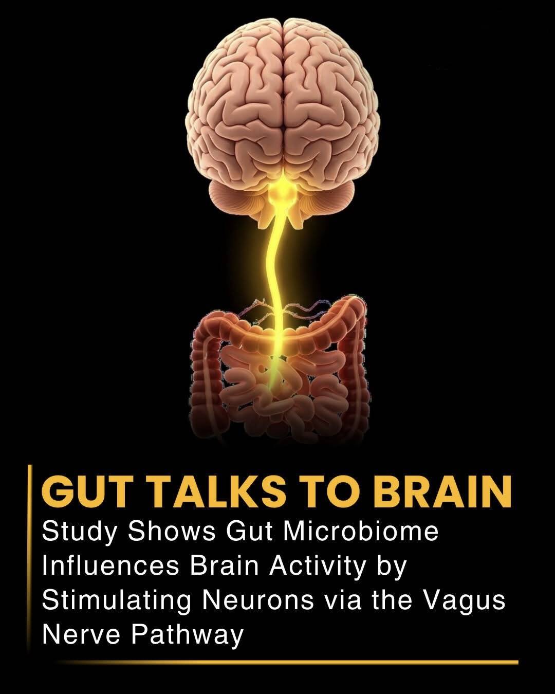 🧠Your Gut Can Talk to Your Brain
Scientists found that gut bacteria can send signals to the brain...