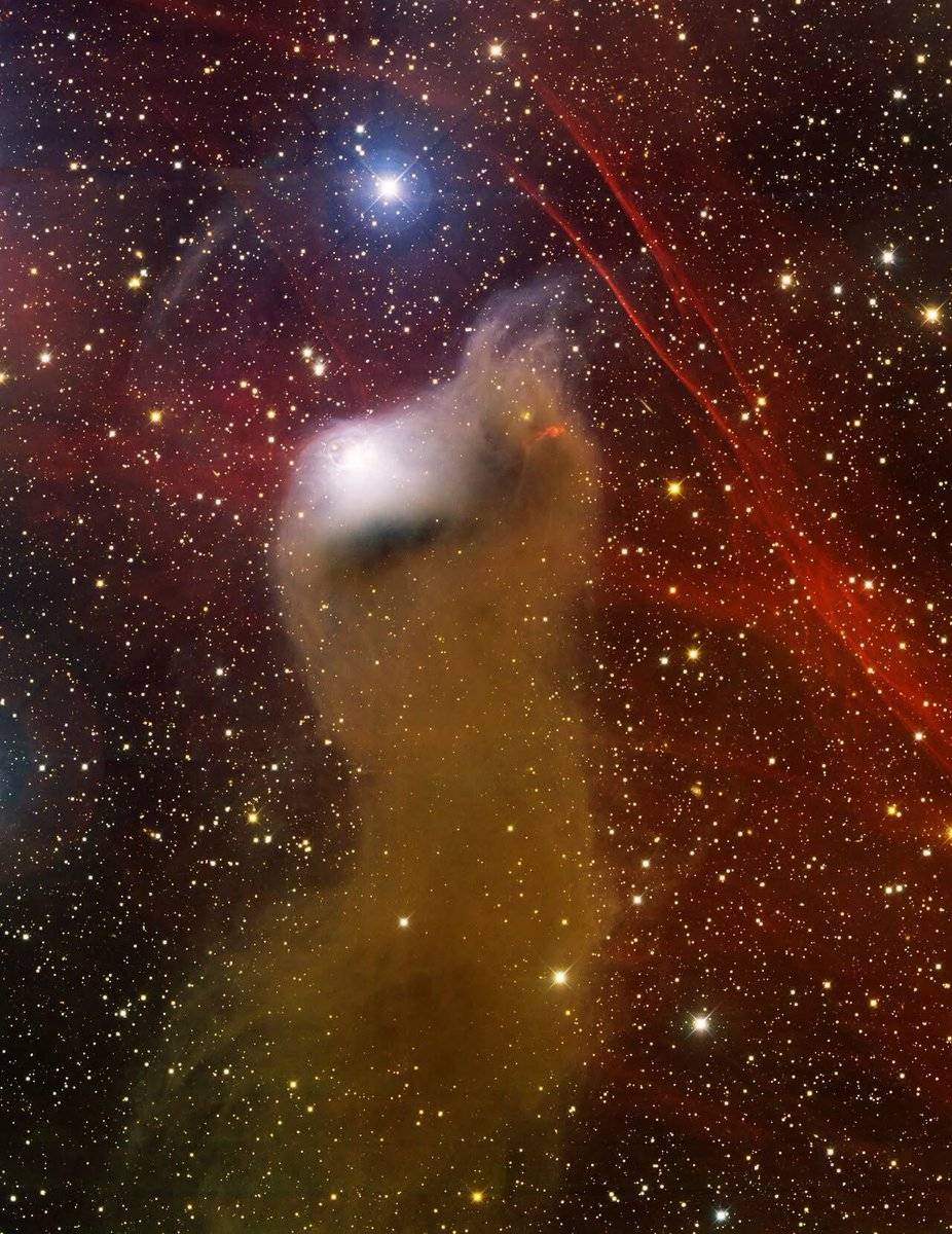 Barnard 175: Where Darkness Meets Newborn Light
In the constellation Cepheus, roughly 1,300 light-y...