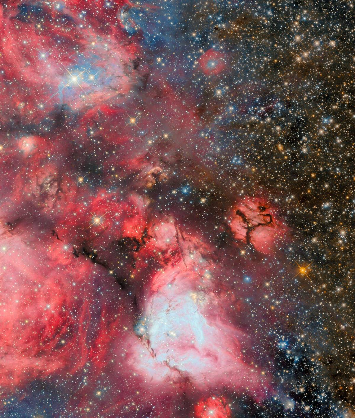 Spectacular: N159, a vast cloud of cold hydrogen, 160,000 light-years away in Dorado.
In its icy d...