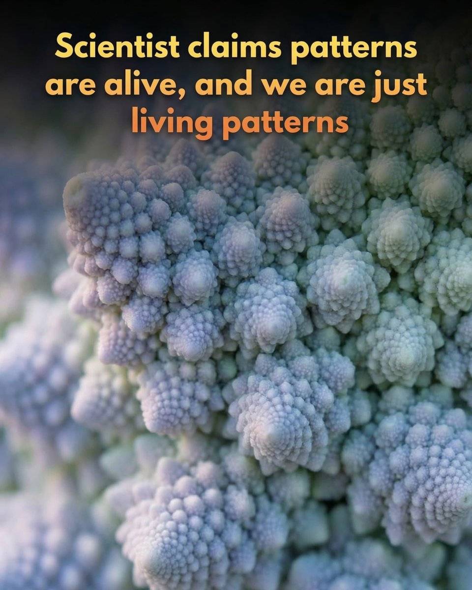 🌀 What If You’re Just a Pattern? The Mind-Blowing Idea Scientists Can’t Stop Talking About
What if...