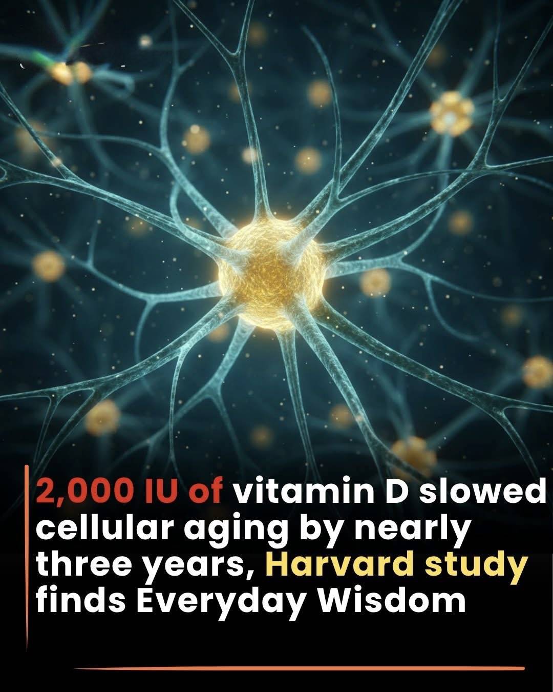 🚨 The Vitamin That Could Turn Back Your Cellular Clock…
What if a simple daily vitamin could slow...