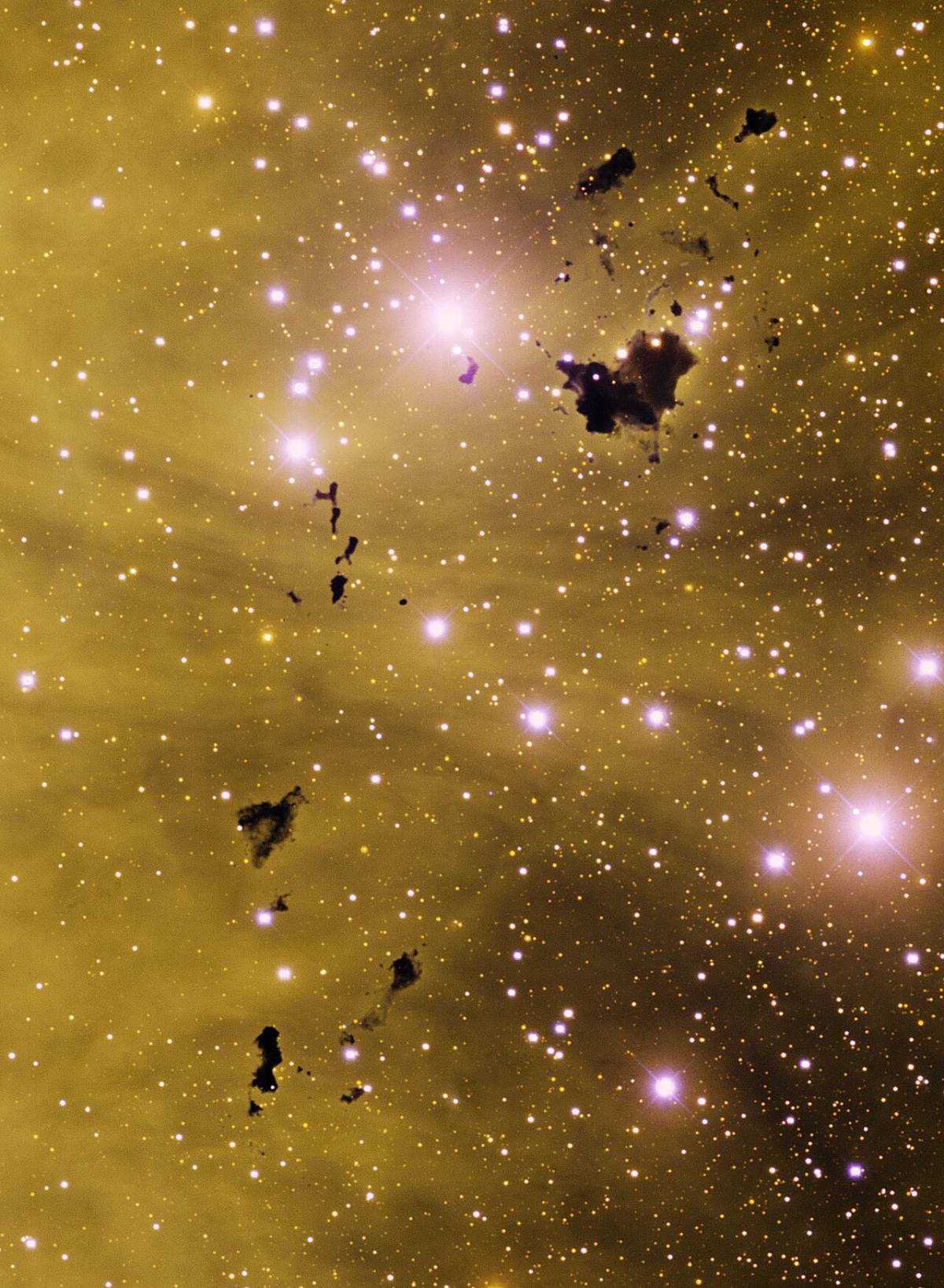 A breathtaking view of an array of dark Bok globules, known as Thackeray's Globules, seen in silhoue...