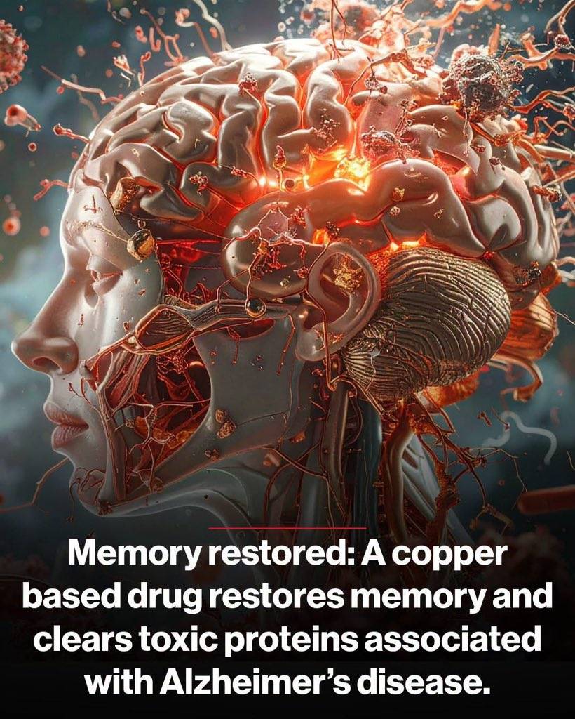 🧠 Scientists May Have Found a New Way to Fight Alzheimer's

What if the brain doesn't need to destr...