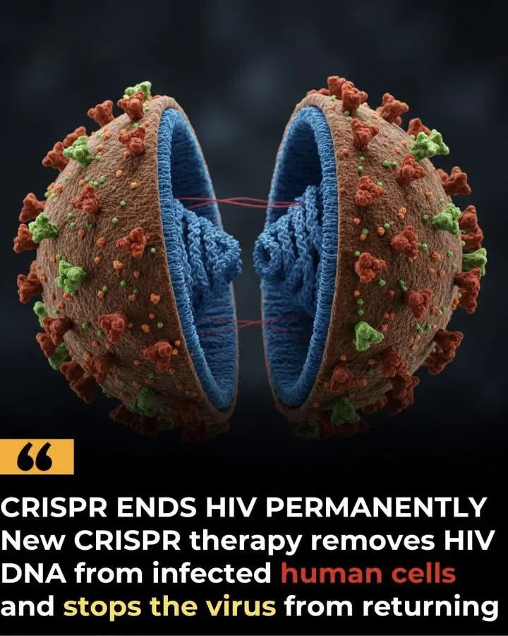 🧬 What If Scientists Could Delete HIV?
Scientists are exploring a remarkable possibility: using CR...