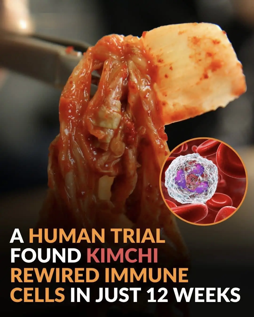 🧬 KIMCHI MAY HAVE “REWIRED” HUMAN IMMUNE CELLS IN JUST 12 WEEKS
What happens inside your immune sy...