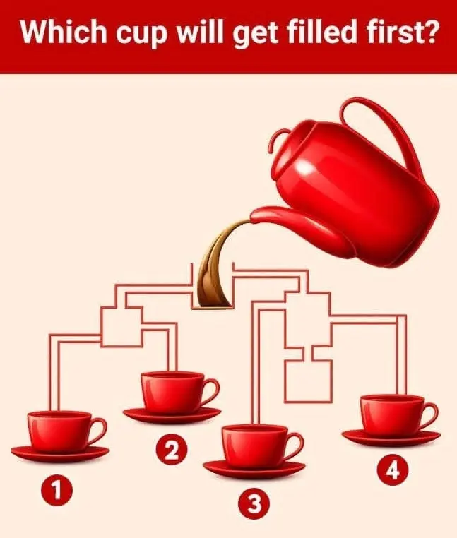 Which cup will fill first