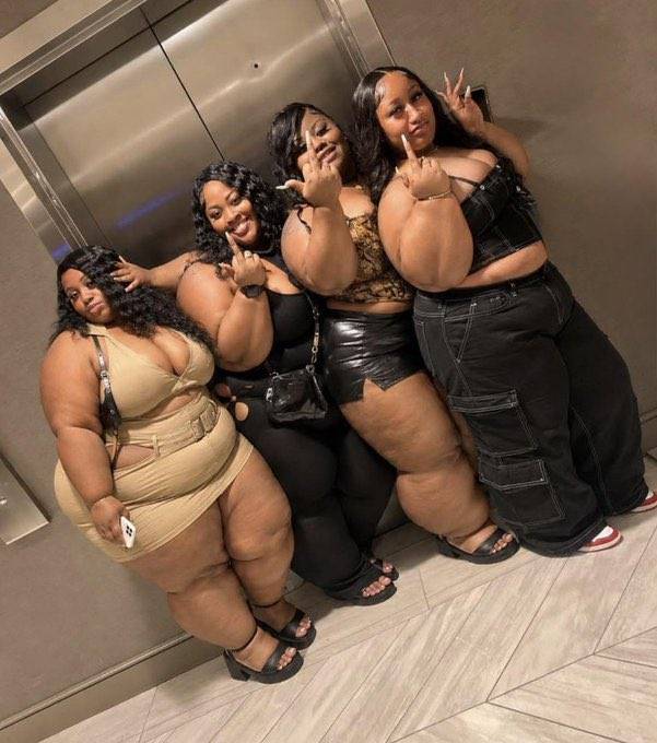 Professor in the house | Group of fat girls is called what?