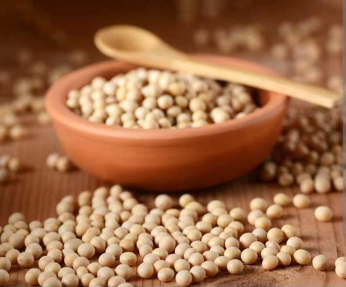 ๐ฑ THE HUMBLE SOYBEAN: The Tiny Bean That Changed the World ๐
You probably ate something made from...