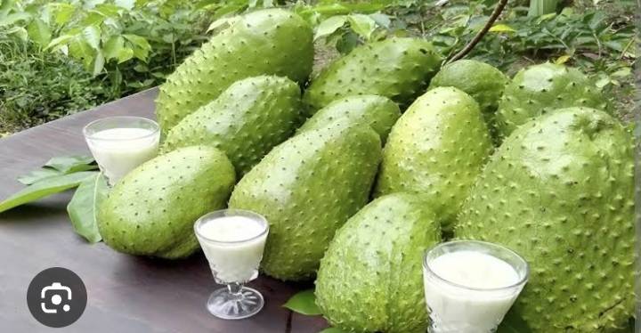 🌿 The Tropical Secret Big Pharma Doesn't Want You to Know About 🌿

Meet SOURSOP , the spiky green...