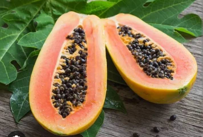 Pawpaw: The Humble Fruit With Golden Value ๐ฟ
You've probably eaten it, sipped it in a smoothie, or...