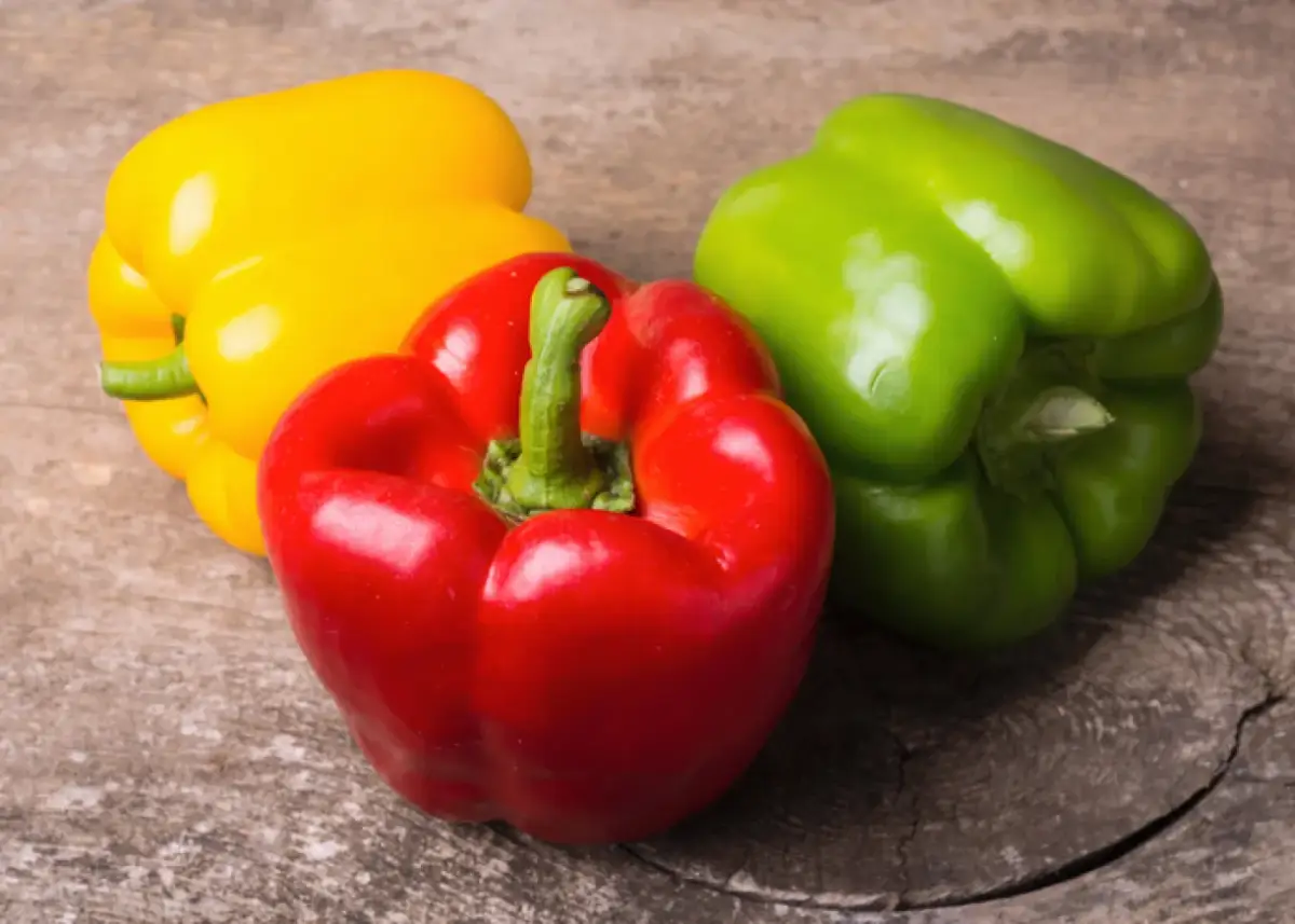 ๐ถ๏ธ THE BELL PEPPER: A COLORFUL POWERHOUSE YOU NEED TO KNOW ABOUT! ๐ถ๏ธ
Where It All Began ๐
Did you...