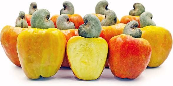 ๐ THE FRUIT YOU DIDN'T KNOW YOU WERE MISSING ๐
Did you know that your favorite cashew nut actuall...