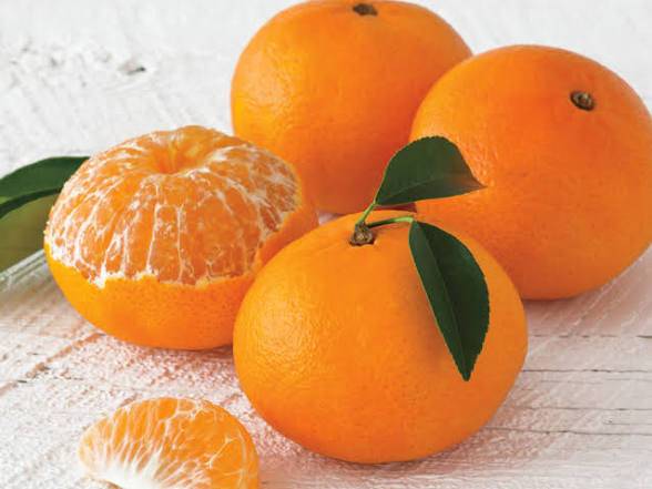 ๐ THE FRUIT THAT TRAVELED 1,000,000 YEARS TO REACH YOUR HANDS ๐
Did you know the tangerine in you...