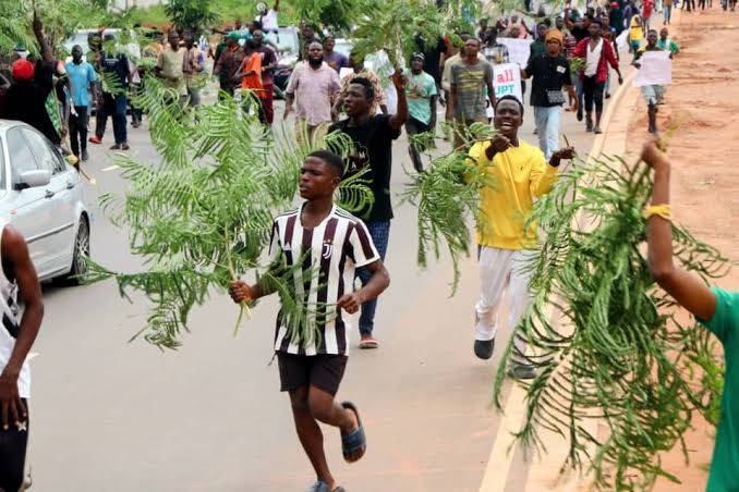 ๐ด THE COST OF ETHNIC PROFILING IN NIGERIA
31% of Nigerians have been discriminated against because...