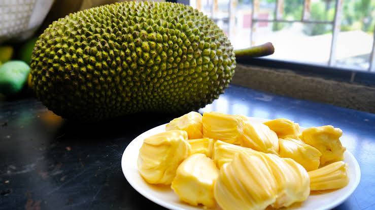 ๐ณ THE JACKFRUIT
The Giant Fruit That Could Save Our Planet & Your Health! ๐ณ
Did you know the large...