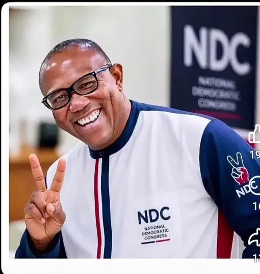 Verifiable facts about the academic qualifications of Peter Gregory Obi the Presidential Candidate o...