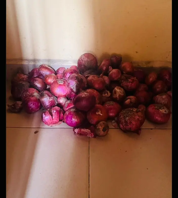 Putting your onions directly on the floor causes them to rot quickly due to moisture from the floor....