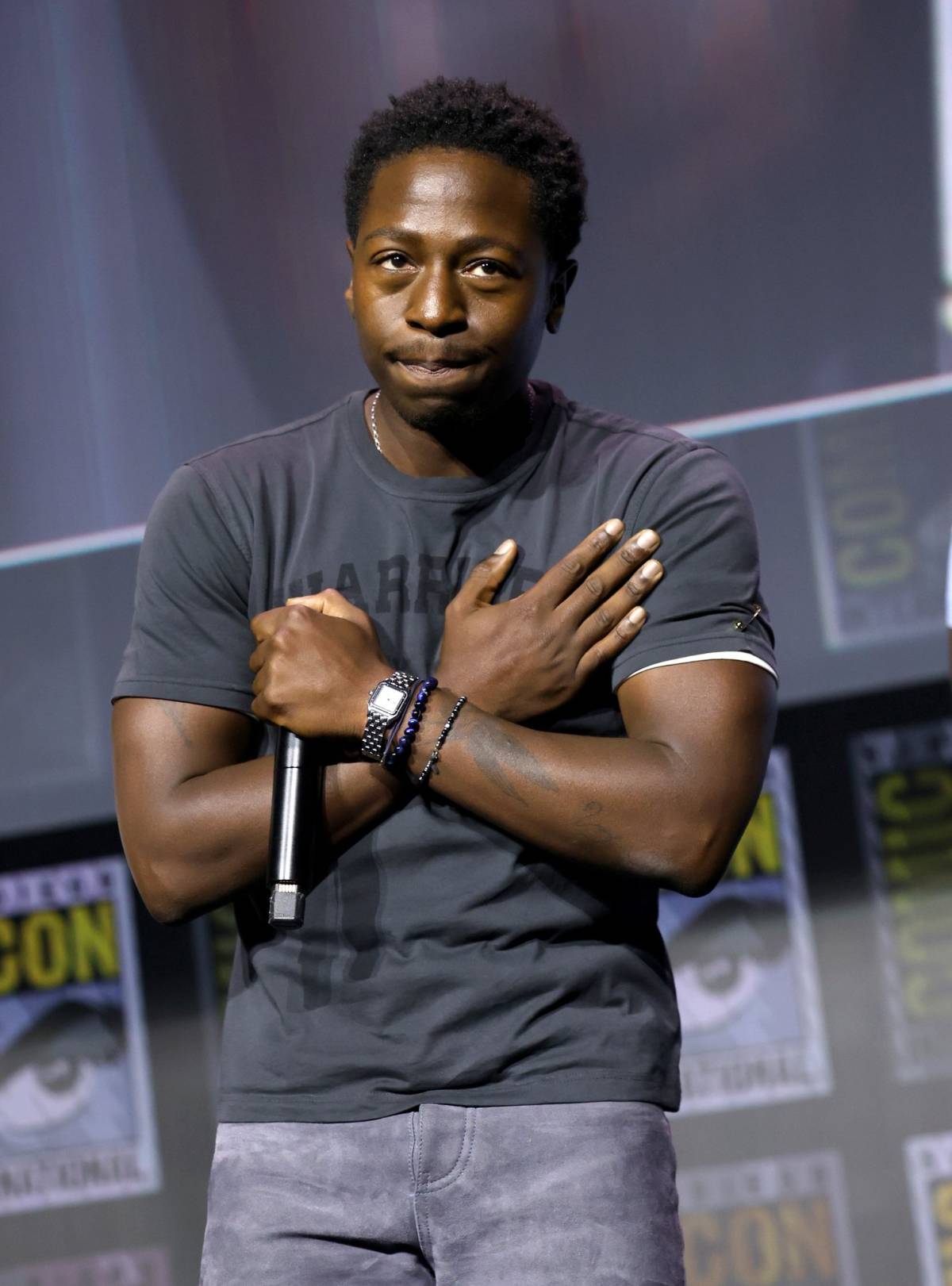 David Jonsson is the new Black Panther, he was selected to represent the black panther's son in the...