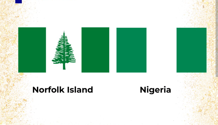 This country dey use flag similar to Nigerian flag ๐