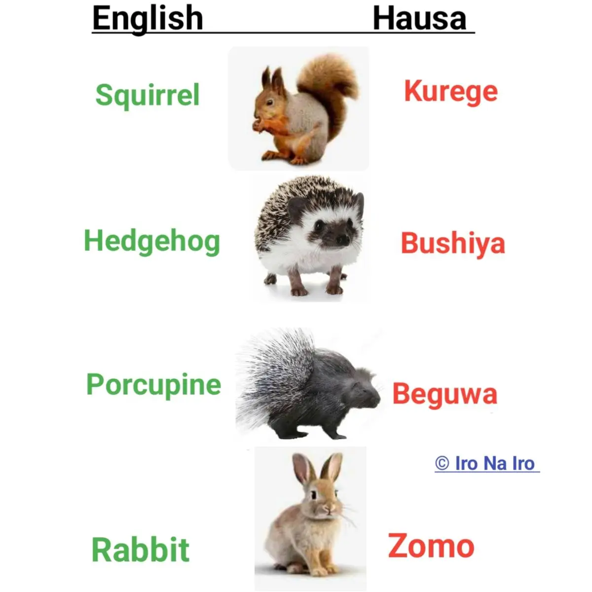 Learn English and Hausa language words
Name of animals in English and Hausa
#hausa #english #Lang...