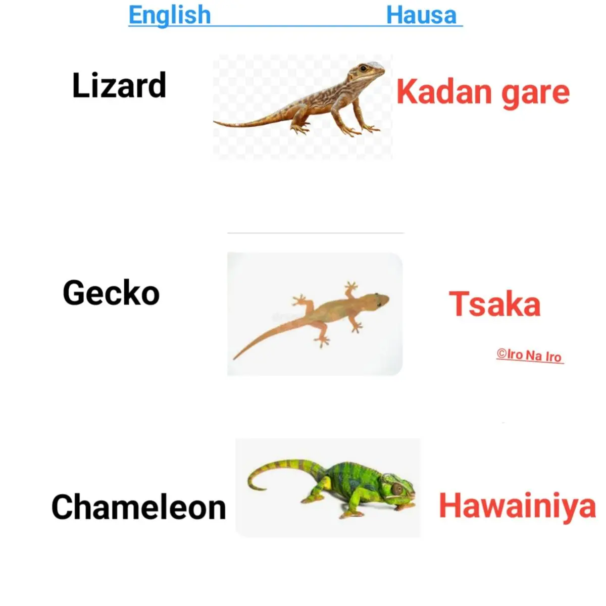 Learn English and Hausa language words.
#LekeeLekee #Trending #hausa #english