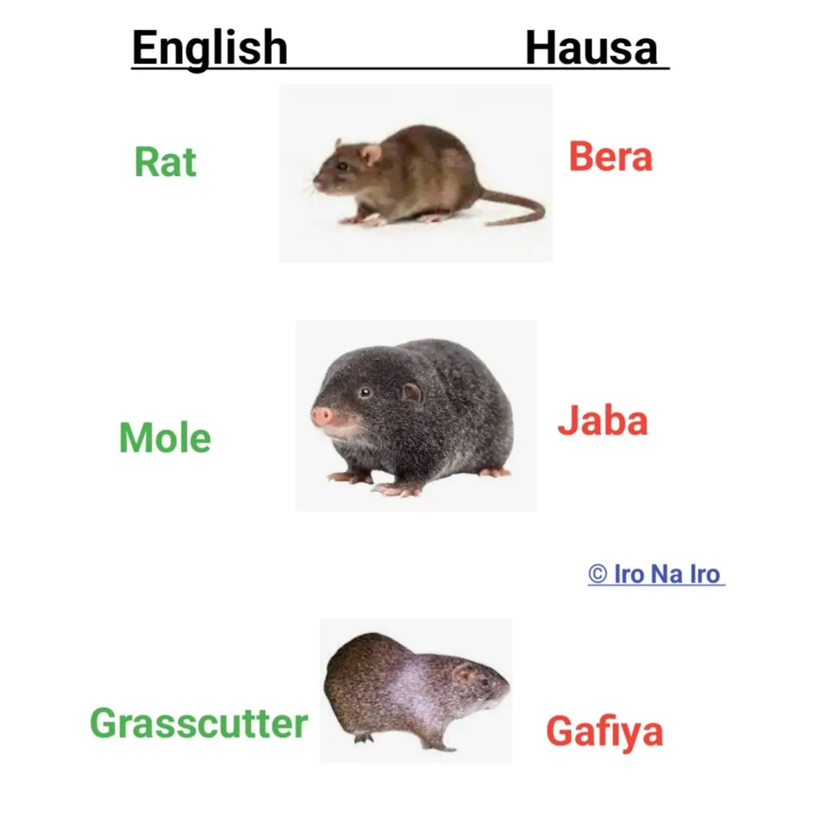 English and Hausa language learning words 
#hausa #english #language