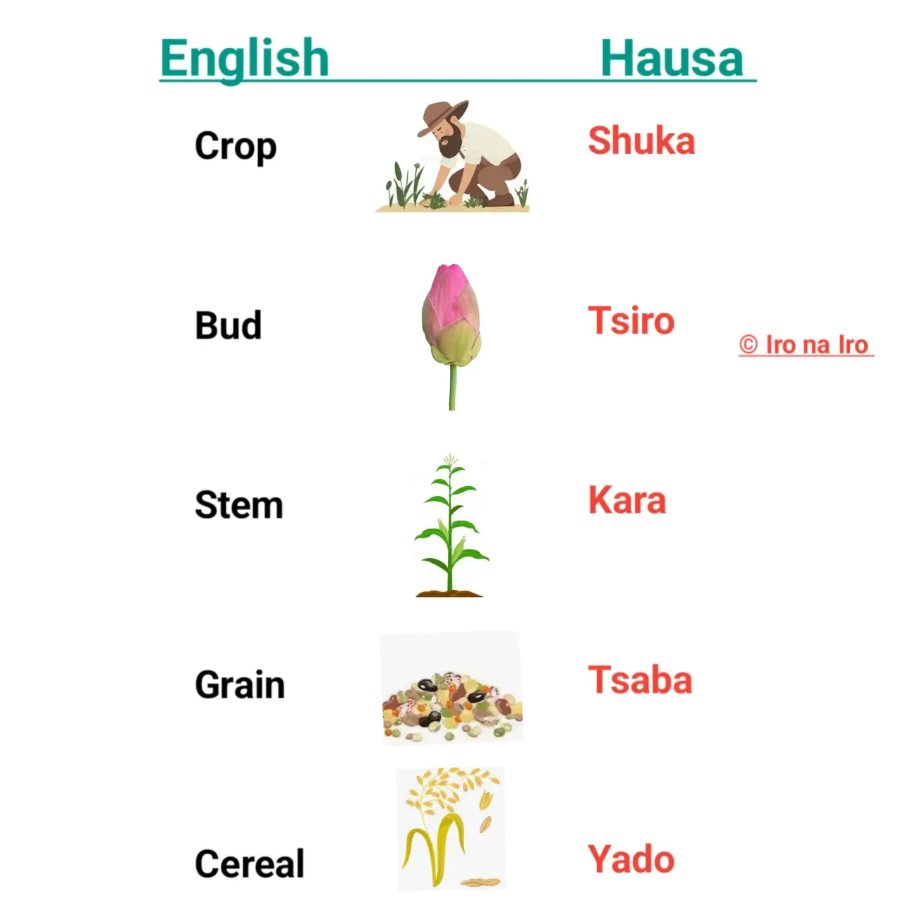 English and Hausa language words...
Koyon turanci tare da kalmomin Hausa...
#hausa #englishvocabula...