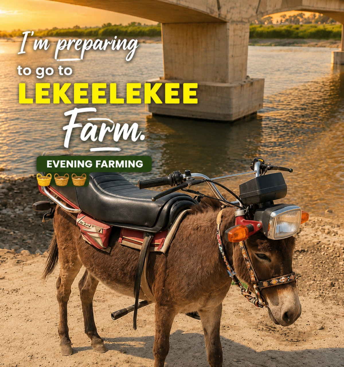 A very splendid evening to all #LekeeLekeefarmers.
#Eveningfarming
#LekeeLekeeFamily #Trending