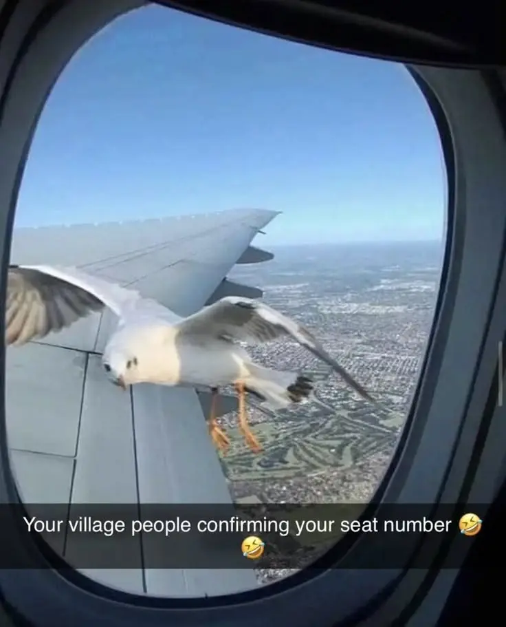 Village people at it again ๐ ๐ ๐ ๐คฃ ๐ ๐คฆ
