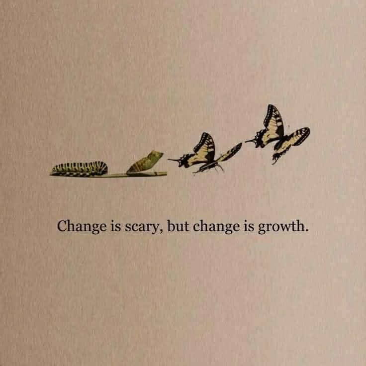 Growth begins the moment you stop fearing change. 🦋
#Life
#Trending
#Viral