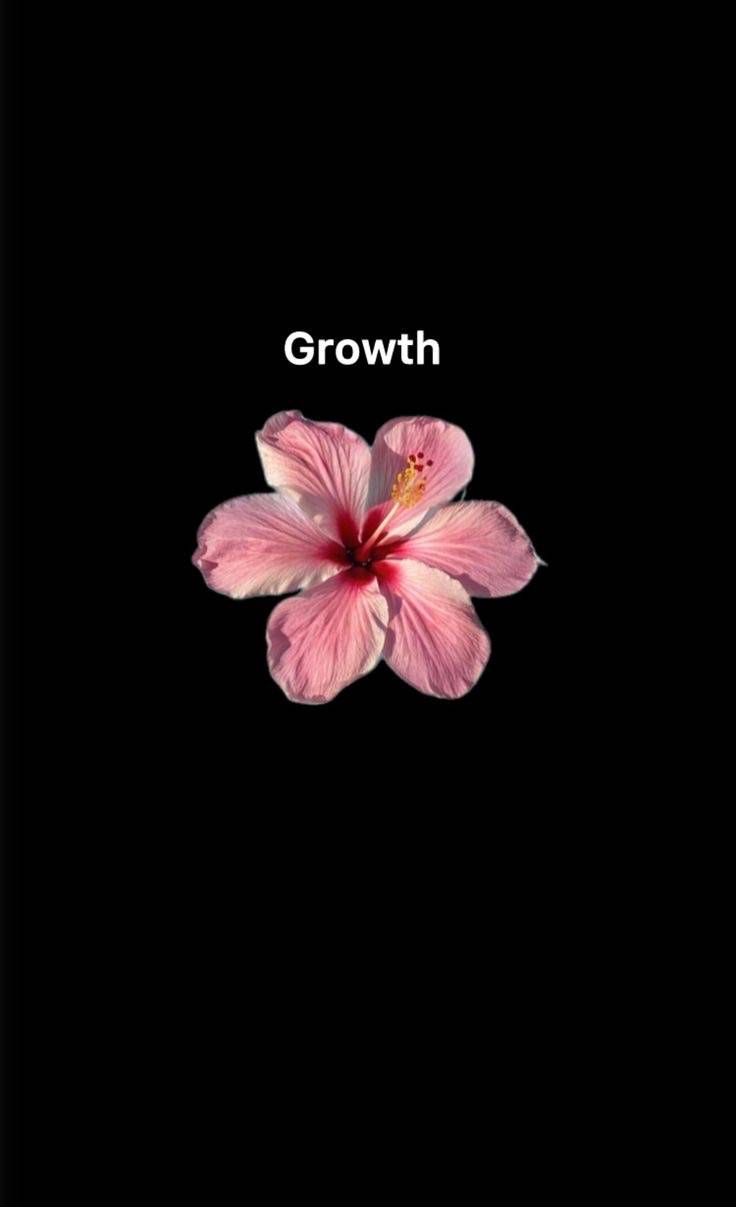 The word "Growth” reminds me that everyone has their own unique journey in life. We often compare ou...