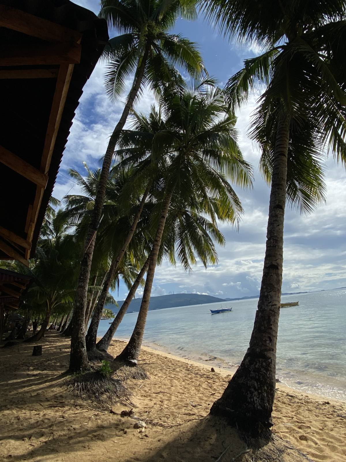 Where the waves are calm, the breeze is gentle, and worries fade away. ๐๐ด๐ฅฅ๐ธ
#Life
#Trending
#Vi...