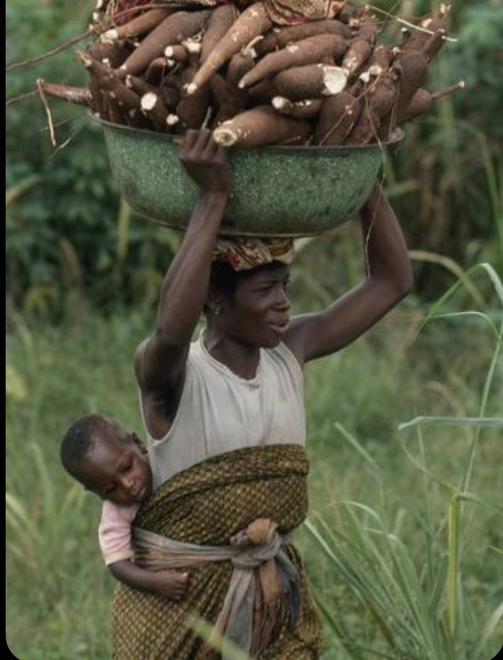 🌿 Strength wears no crown—it carries a harvest. ❤️
With a basin full of cassava on her head and a...